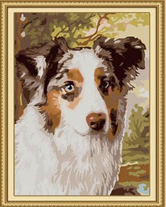 Sheltie Paint by Numbers