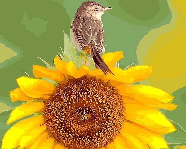Sparrow & Sunflower Paint by Numbers