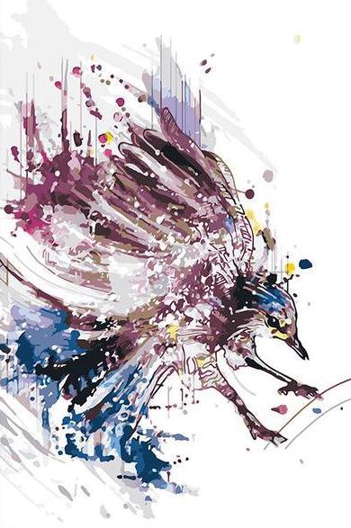 Splashy Bird Paint by Numbers