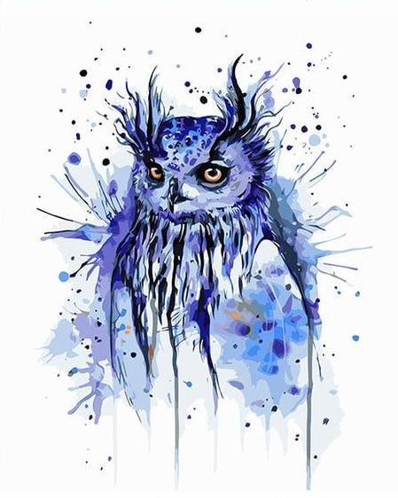 Splashy Owl Paint by Numbers