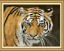 Load image into Gallery viewer, Starring Tiger Paint by Numbers