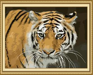 Starring Tiger Paint by Numbers