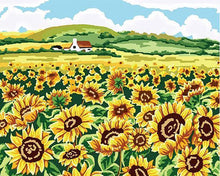Load image into Gallery viewer, Sunflowers Field Paint by Numbers