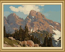 Load image into Gallery viewer, Trees &amp; Mountains Paint by Numbers