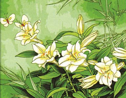 Tricyrtis Plant Paint by Numbers