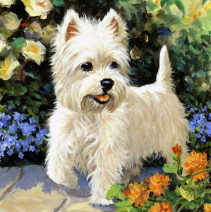 Westie Dog Paint by Diamonds