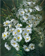 Load image into Gallery viewer, White Daisies Bunch Paint by Numbers