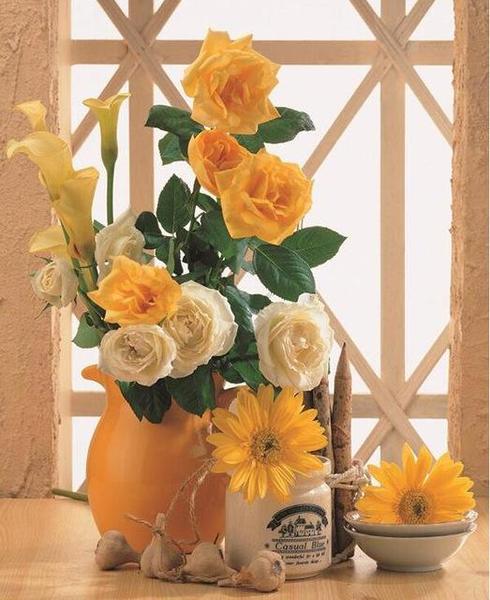 White & Yellow Roses Paint by Numbers