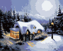 Load image into Gallery viewer, Winter Night Paint by Numbers
