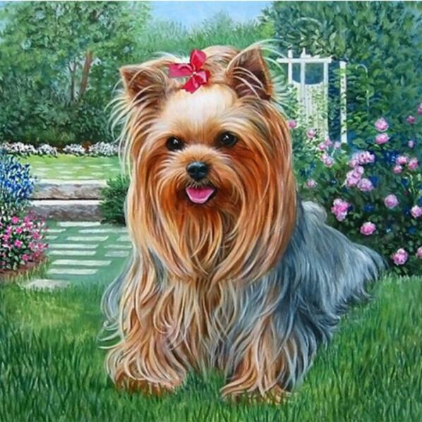 Yorkshire Terrier Paint by Diamonds