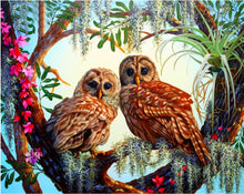 Load image into Gallery viewer, owl paint by numbers