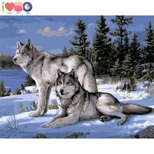 Load image into Gallery viewer, Wolf Painting By Numbers Painting - Paint Yourself