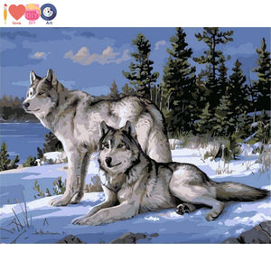 Wolf Painting By Numbers Painting - Paint Yourself