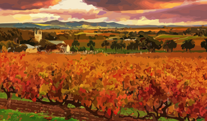 Adult paint by numbers kits