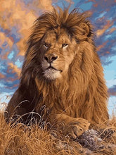 Load image into Gallery viewer, Lion Paint by numbers kit for Adults
