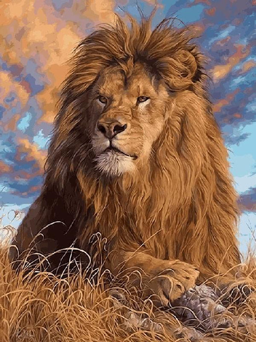 Lion Paint by numbers kit for Adults