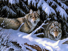 Load image into Gallery viewer, Snow Wolves DIY Painting - Paint by Numbers
