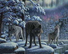 Load image into Gallery viewer, Wolves in the Night Painting - Paint by Numbers