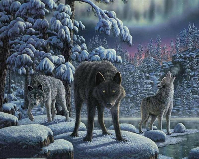 Wolves in the Night Painting - Paint by Numbers
