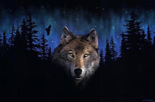 Load image into Gallery viewer, Wolf Staring at YOU - Paint by Numbers