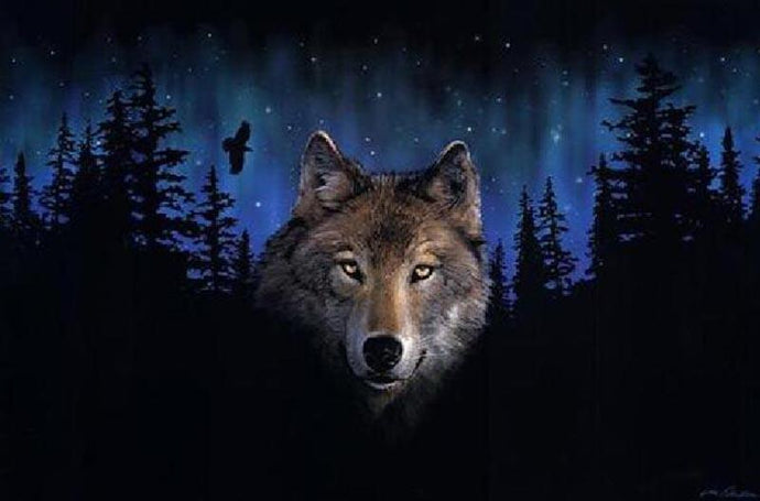 Wolf Staring at YOU - Paint by Numbers
