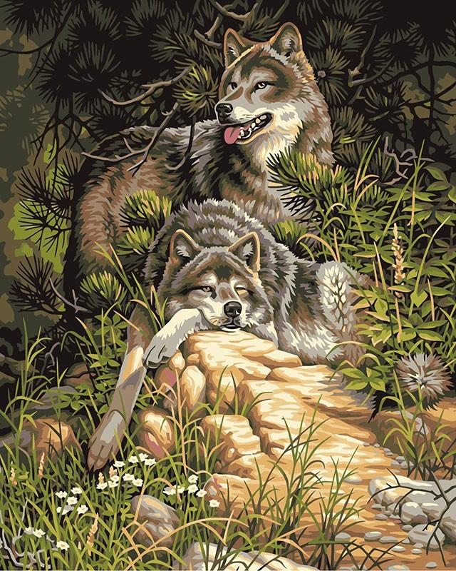 wolf paint by numbers adults