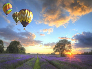 Balloons Over Beautiful Purple Fields - Paint by Numbers