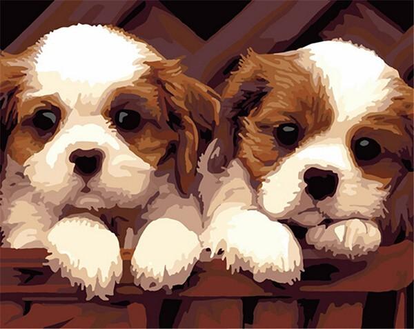 Couple of Cute Puppies - Paint by Numbers