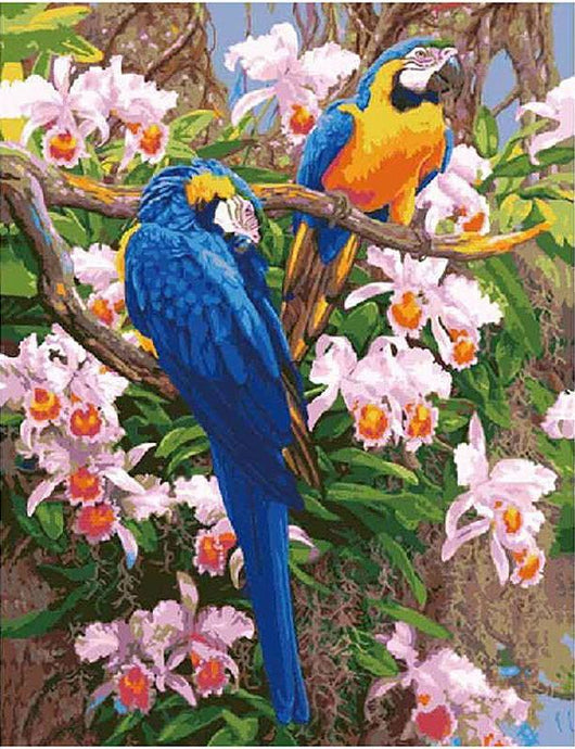 Beautiful Macaw Parrots - Paint by Numbers