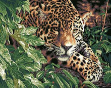 Load image into Gallery viewer, Framed Tigers, Horses, Wolves and Other Animal Paintings