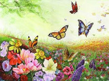 Load image into Gallery viewer, butterflies paint by numbers