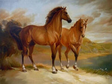 Load image into Gallery viewer, Horses Painting DIY with Paint by Numbers