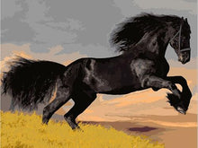 Load image into Gallery viewer, black horse paint by number