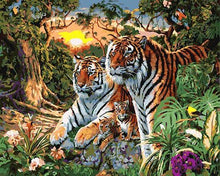 Load image into Gallery viewer, Tigers Paint by Numbers Kit