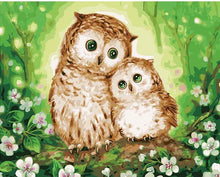 Load image into Gallery viewer, cute owl paint by numbers