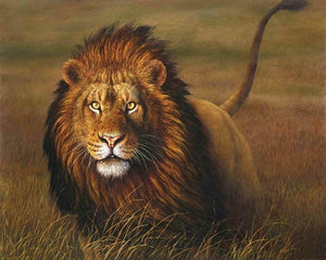 lion paint by numbers