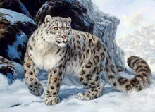 Load image into Gallery viewer, Tiger in the Snow