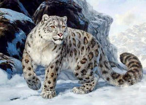 Tiger in the Snow