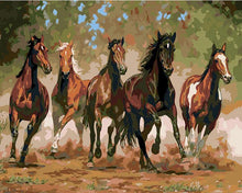 Load image into Gallery viewer, Horses Paint by Number for Adults