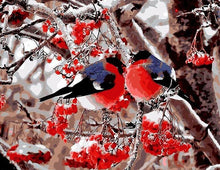 Load image into Gallery viewer, birds paint by numbers