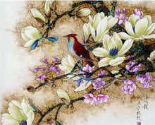 Load image into Gallery viewer, bird paint by numbers