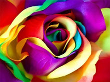 Load image into Gallery viewer, Multi-color Rose - Paint with Diamonds