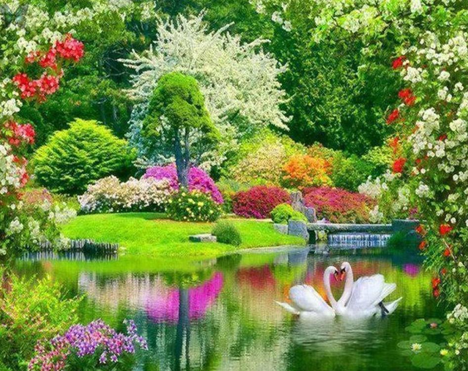 Amazingly Beautiful Garden