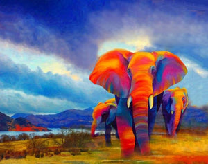 Colorful African Elephant DIY with Paint by Numbers Kit