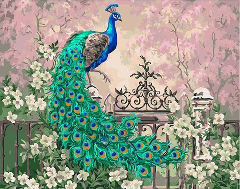 Peacock in the Flowers Painting by Numbers for Adults