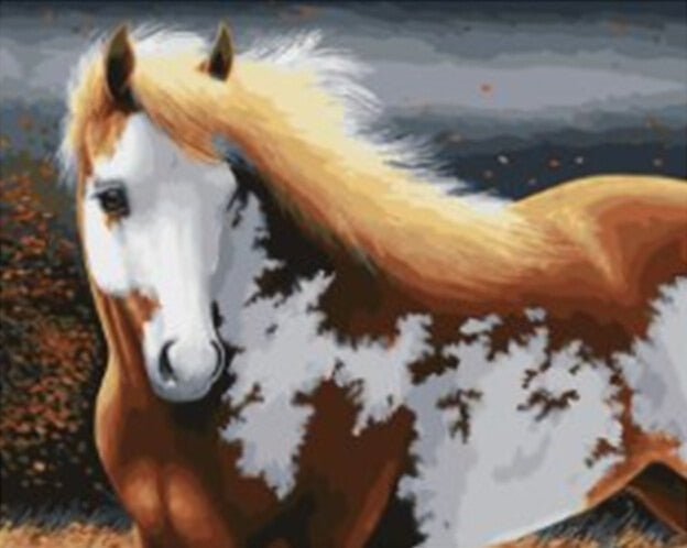 elegant horse