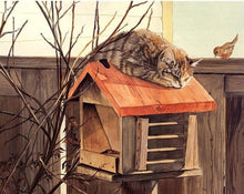 Load image into Gallery viewer, Cat on the Mailbox - Paint by Numbers
