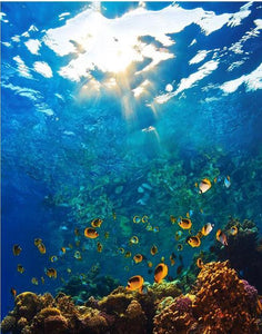 Underwater Life Painting - Paint by Numbers