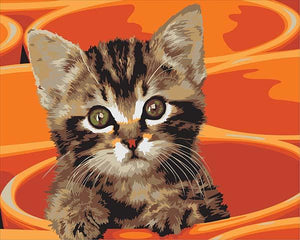 Cute little Cat in the Bucket Painting by Numbers