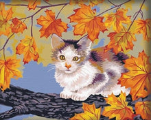 Load image into Gallery viewer, Cat sitting on Branch in Autumn - Painting by Numbers